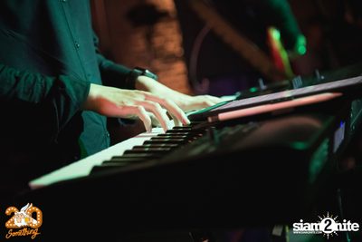 Sqweez Animal x The Parkinson at 20Something Bar — photo 43