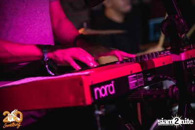 Sqweez Animal x The Parkinson at 20Something Bar — photo 94