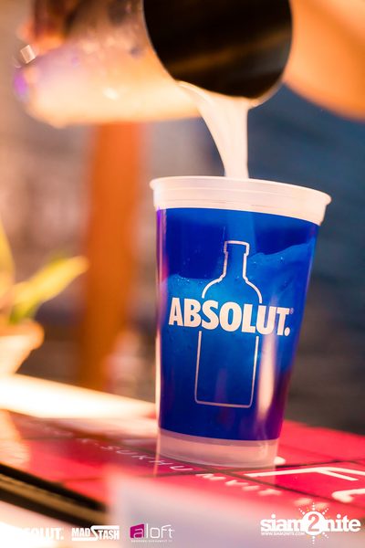 Splash Pool Party at SPLASH at Aloft — photo 60