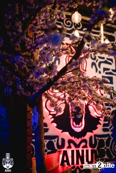 3rd Anniversary with Klear at AINU Bar — photo 62