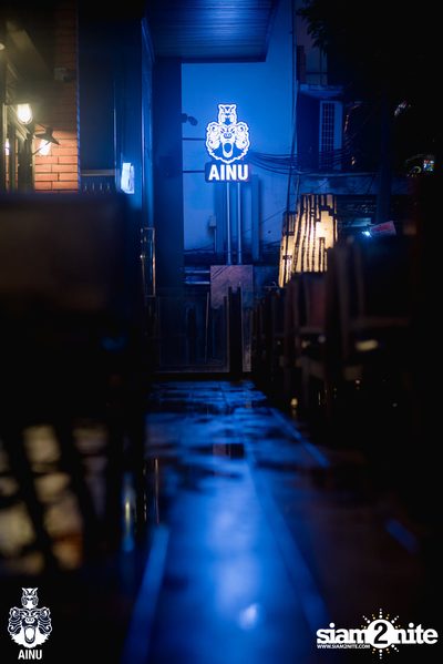Friday Night at AINU Bar — photo 75