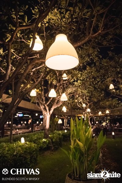 Getsunova at The View Bar & Restaurant — photo 19