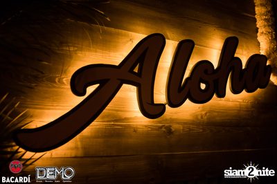 CLAP & Bacardi present Aloha Party at DEMO — photo 1