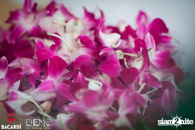 CLAP & Bacardi present Aloha Party at DEMO — photo 11