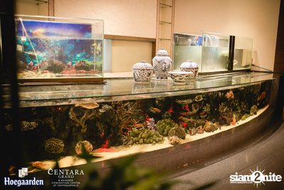 Beer and Food Pairing Experiences ที่ Centara Grand Bangkok — photo 105