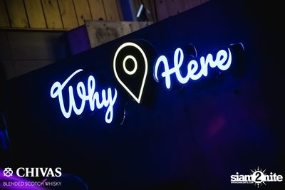 The Toys at Why Here — photo 9