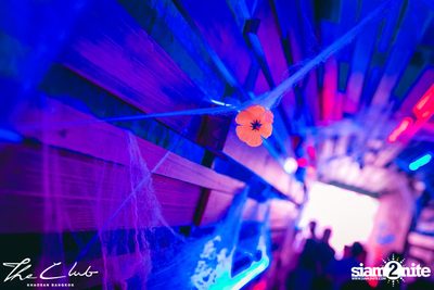 Day of the Dead at The Club Khaosan — photo 20