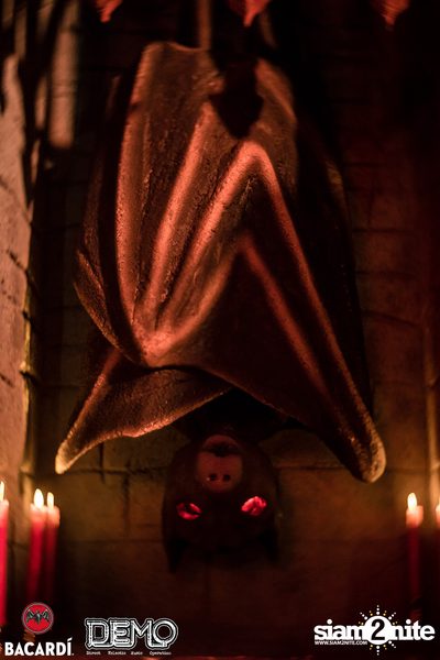 DEMO & Bacardi present Transylvania 1862 — photo 55