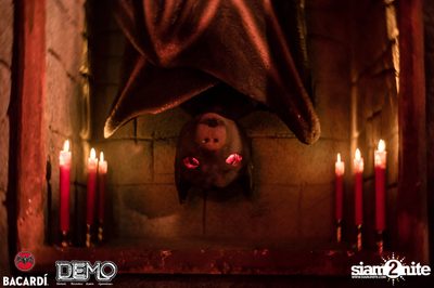 DEMO & Bacardi present Transylvania 1862 — photo 56