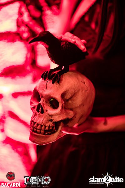 DEMO & Bacardi present Transylvania 1862 — photo 86
