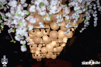 Friday Night at Ainu Bar — photo 34