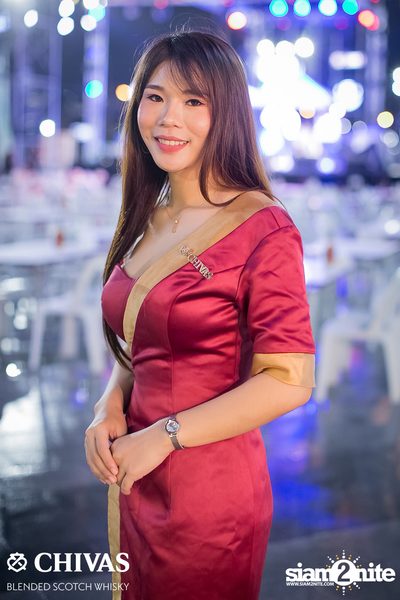 The Next Terminal กับ Pop Pongkool ที่ Beer Terminal — photo 19