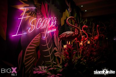 Peroni นำเสนอ BIGx Escape Vol 2 ที่ เอสเคป — photo 1