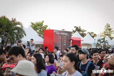 Cat Expo 5 ที่ Wonder World Theme Park (อัลบั้ม1/2) — photo 26