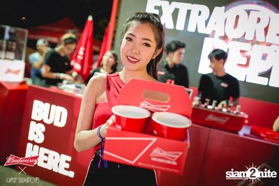 Cat Expo 5 ที่ Wonder World Theme Park (อัลบั้ม1/2) — photo 53