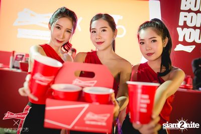 Cat Expo 5 ที่ Wonder World Theme Park (อัลบั้ม1/2) — photo 57