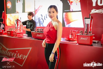 Cat Expo 5 ที่ Wonder World Theme Park (อัลบั้ม1/2) — photo 60