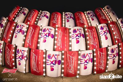 Cat Expo 5 ที่ Wonder World Theme Park (อัลบั้ม1/2) — photo 99