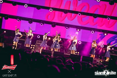 Cat Expo 5 ที่ Wonder World Theme Park (อัลบั้ม1/2) — photo 144
