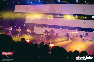 Cat Expo 5 ที่ Wonder World Theme Park (อัลบั้ม1/2) — photo 147