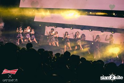 Cat Expo 5 ที่ Wonder World Theme Park (อัลบั้ม1/2) — photo 149