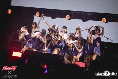 Cat Expo 5 ที่ Wonder World Theme Park (อัลบั้ม1/2) — photo 151