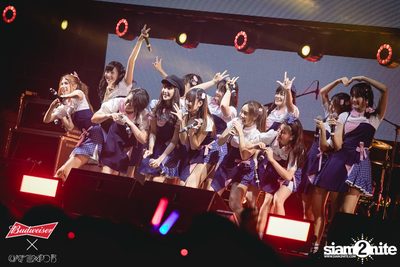 Cat Expo 5 ที่ Wonder World Theme Park (อัลบั้ม1/2) — photo 152