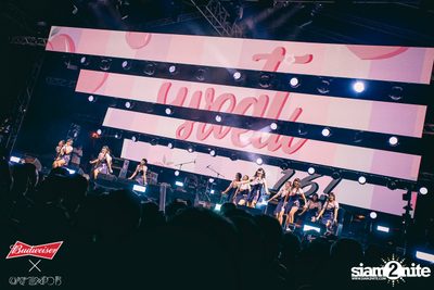 Cat Expo 5 ที่ Wonder World Theme Park (อัลบั้ม1/2) — photo 153