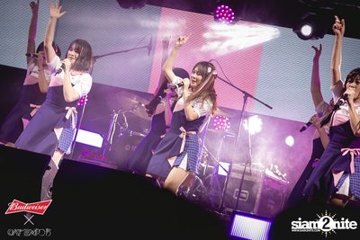 Cat Expo 5 ที่ Wonder World Theme Park (อัลบั้ม1/2) — photo 159