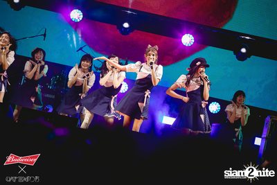 Cat Expo 5 ที่ Wonder World Theme Park (อัลบั้ม1/2) — photo 165