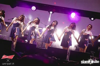 Cat Expo 5 ที่ Wonder World Theme Park (อัลบั้ม1/2) — photo 171
