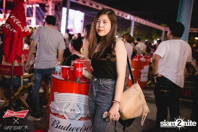 Cat Expo 5 ที่ Wonder World Theme Park (อัลบั้ม1/2) — photo 181