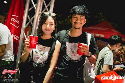 Cat Expo 5 ที่ Wonder World Theme Park (อัลบั้ม1/2) — photo 187