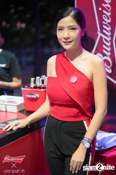 Cat Expo 5 ที่ Wonder World Theme Park (อัลบั้ม 2/2) — photo 35