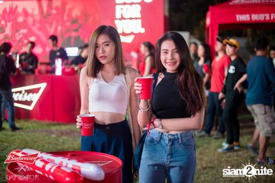 Cat Expo 5 ที่ Wonder World Theme Park (อัลบั้ม 2/2) — photo 41