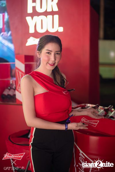 Cat Expo 5 ที่ Wonder World Theme Park (อัลบั้ม 2/2) — photo 42