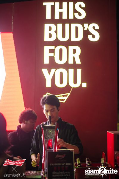 Cat Expo 5 ที่ Wonder World Theme Park (อัลบั้ม 2/2) — photo 50