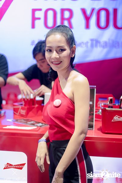 Cat Expo 5 ที่ Wonder World Theme Park (อัลบั้ม 2/2) — photo 59