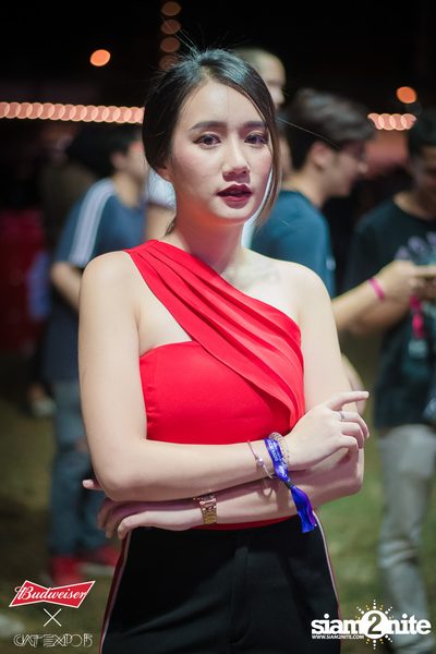 Cat Expo 5 ที่ Wonder World Theme Park (อัลบั้ม 2/2) — photo 68