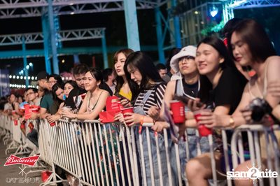 Cat Expo 5 ที่ Wonder World Theme Park (อัลบั้ม 2/2) — photo 91