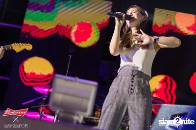 Cat Expo 5 ที่ Wonder World Theme Park (อัลบั้ม 2/2) — photo 176