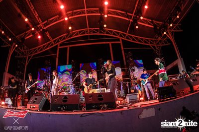 Cat Expo 5 ที่ Wonder World Theme Park (อัลบั้ม 2/2) — photo 190