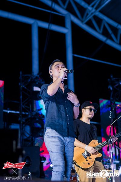 Cat Expo 5 ที่ Wonder World Theme Park (อัลบั้ม 2/2) — photo 201