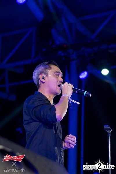 Cat Expo 5 ที่ Wonder World Theme Park (อัลบั้ม 2/2) — photo 202