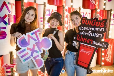 Cat Expo 5 ที่ Wonder World Theme Park (อัลบั้ม1/2) — photo 6