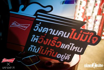 Cat Expo 5 ที่ Wonder World Theme Park (อัลบั้ม1/2) — photo 7