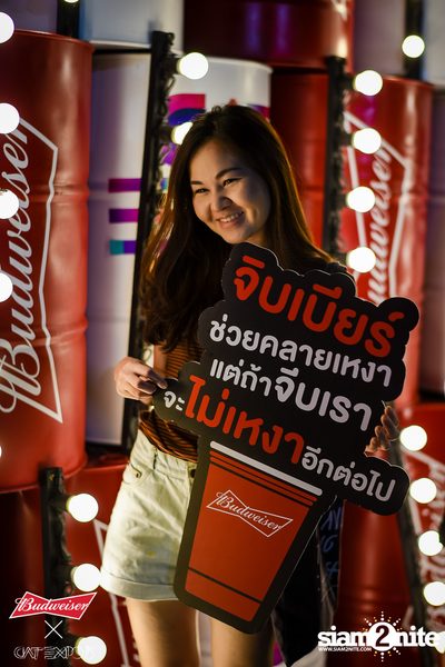 Cat Expo 5 ที่ Wonder World Theme Park (อัลบั้ม1/2) — photo 11