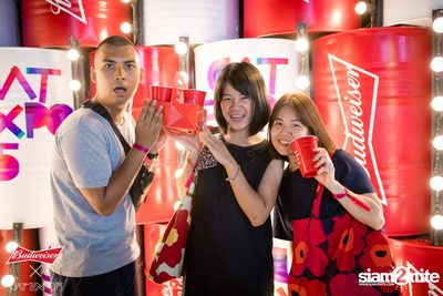 Cat Expo 5 ที่ Wonder World Theme Park (อัลบั้ม1/2) — photo 13
