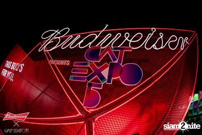 Cat Expo 5 ที่ Wonder World Theme Park (อัลบั้ม1/2) — photo 46