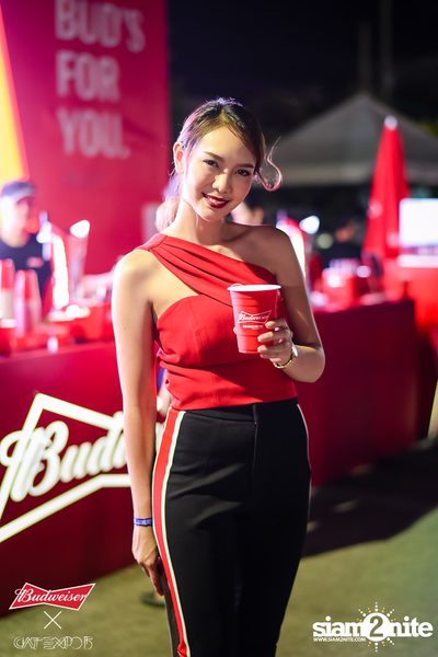 Cat Expo 5 ที่ Wonder World Theme Park (อัลบั้ม1/2) — photo 68